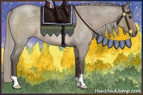 Horse Color:Silver Grullo Roan 