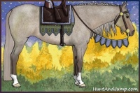 Horse Color:Silver Grullo Roan 