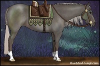 Horse Color:Silver Blue Roan 