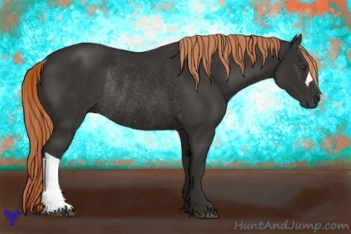 Horse Color:Liver Chestnut Rabicano 
