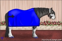 Horse Color:Black Sabino