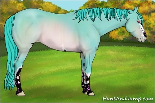 Horse Color:Watercolor White Spotted Sable Champagne Chinchilla