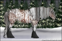 Horse Color:White Spotted Bay  and Amber Champagne Sabino Rabicano 