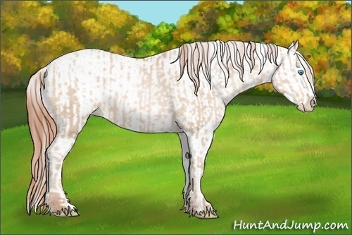 Horse Color:Buckskin Pearl Sabino and Buckskin Pearl Dun Sabino Leopard