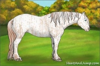 Horse Color:Buckskin Pearl Sabino  and Buckskin Pearl Dun Sabino Leopard 