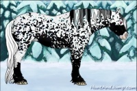 Horse Color:Chocolate Silver Brown Chinchilla Sabino Snowflake Varnish