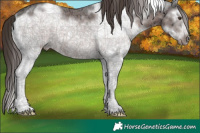 Horse Color:White Spotted Liver Chestnut Ice Frame