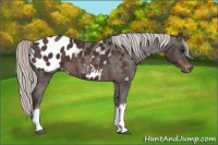 Horse Color:Silver Brown Blanket 