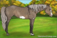 Horse Color:Silver Grullo Frame