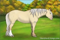 Horse Color:Silver Classic Cream Champagne Dun Rabicano