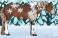 Horse Color:Liver Chestnut Ice Tobiano 