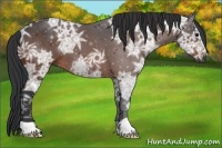 Horse Color:Bay Ice 