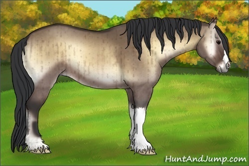 Horse Color:Bay Onyx Brindle