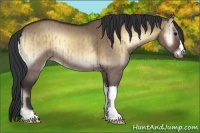 Horse Color:Bay Onyx Brindle 