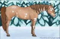 Horse Color:White Spotted Bay Pearl 