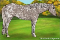 Horse Color:Silver Black Ice