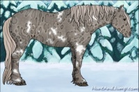 Horse Color:White Spotted Silver Grullo Ice 