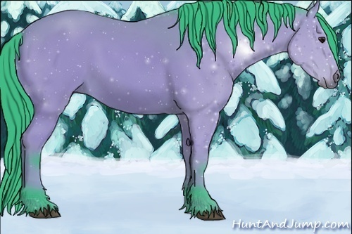 Horse Color:Watercolor Bay 