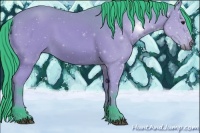 Horse Color:Watercolor Bay 