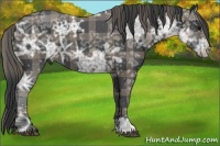 Horse Color:Plaid Black Ice Rabicano