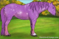 Horse Color:Watercolor Chestnut 