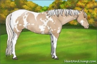 Horse Color:White Spotted Silver Black Pearl Tobiano Rabicano 