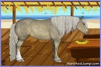 Horse Color:Chocolate Palomino Sabino