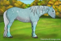 Horse Color:Watercolor Silver Brown Sabino