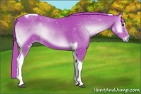 Horse Color:Watercolor Liver Red Onyx Sabino Tobiano
