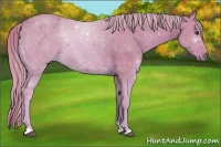 Horse Color:Watercolor Palomino 