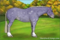 Horse Color:Watercolor Liver Chestnut 