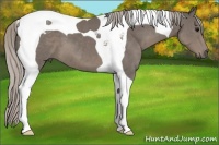 Horse Color:Silver Black Tobiano