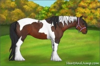 Horse Color:Brown Tobiano 