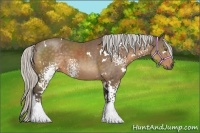 Horse Color:White Spotted Silver Buckskin 
