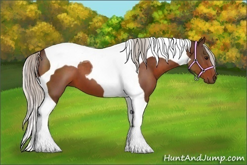 Horse Color:Silver Bay Tobiano 