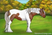 Horse Color:Silver Bay Tobiano
