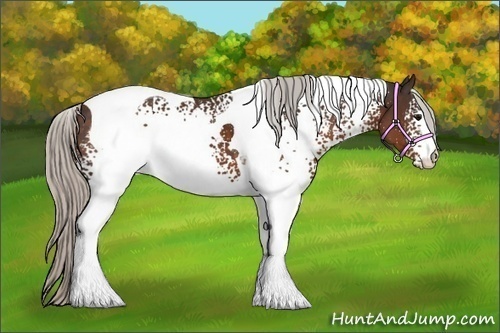 Horse Color:White Spotted Silver Brown Tobiano