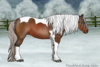 Horse Color:Silver Bay Tobiano