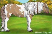 Horse Color:White Spotted Red Dun Tobiano Frame