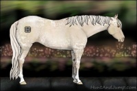 Horse Color:Silver Blue Ice Roan Pearl Sabino 