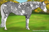 Horse Color:White Spotted Silver Black Chinchilla Ice Splash