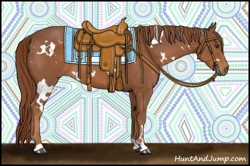 Horse Color:White Spotted Chestnut 