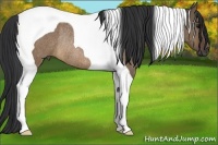 Horse Color:Brown Dun Tobiano Rabicano