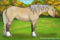 Horse Color:Silver Brown Dun