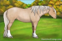Horse Color:Silver Brown Roan Pearl 