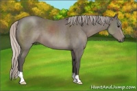 Horse Color:Silver Black