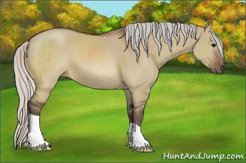 Horse Color:Silver Brown Dun 