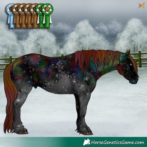 Horse Color:ERROR: UNKNOWN ANOMALY