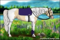 Horse Color:Silver Amber Champagne Dun Tobiano