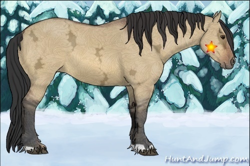 Horse Color:Bay Ice Dun 